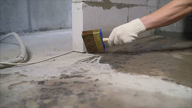 24/7 Emergency Crawl Space Encapsulation experts in Kingston, TN